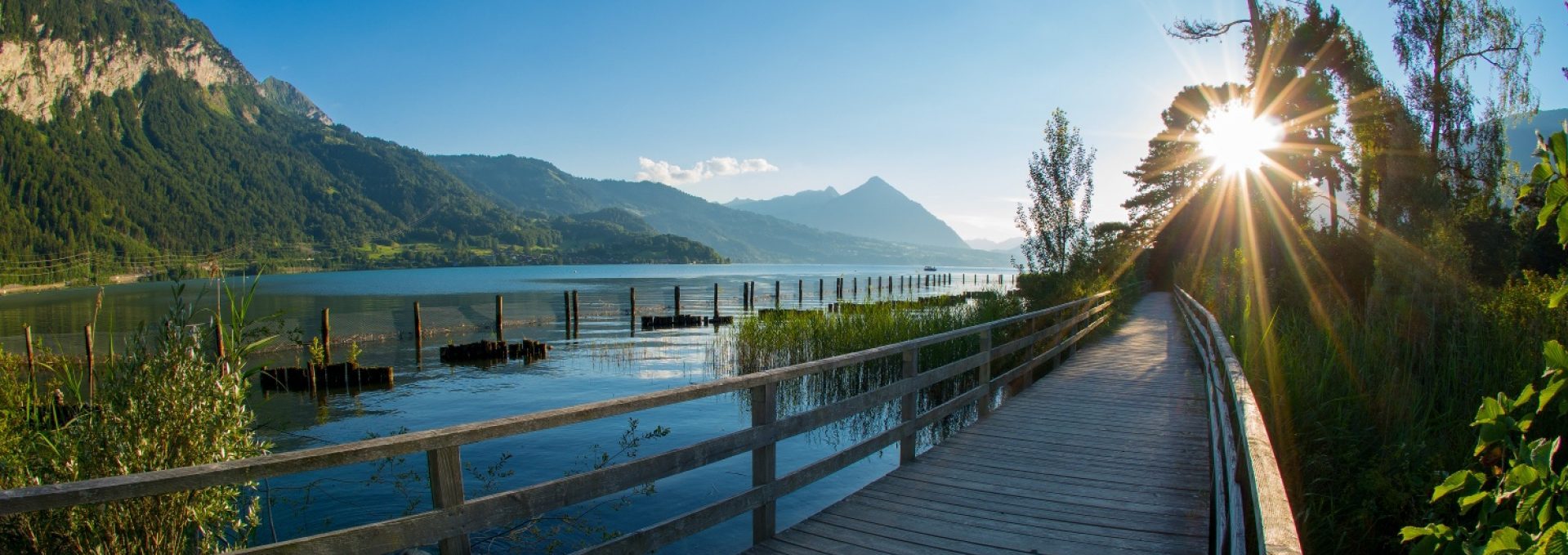 Psychotherapie Praxis Thun und Interlaken
